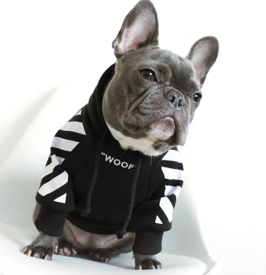 Keep Your Furry Friends Cozy with Autumn and Winter Sports Dog Clothes